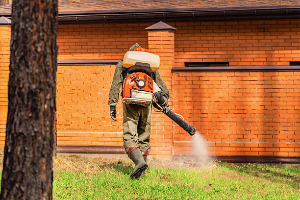 Trusted Emergency Pest Control service in Hurley, NM - Nex Pest Control